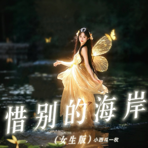 惜别的海岸 (女生版)