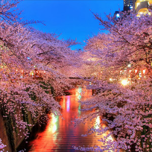 カツアゲ丼 / ザ・レストランズ