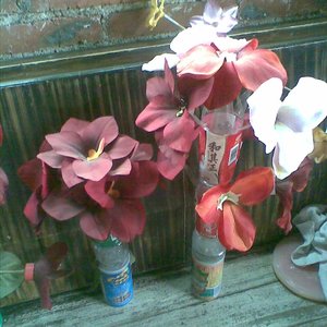 好我要多谢你（粤语版）