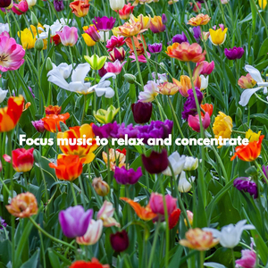 Background for Sure Joy