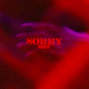 Sorry Not Sorry