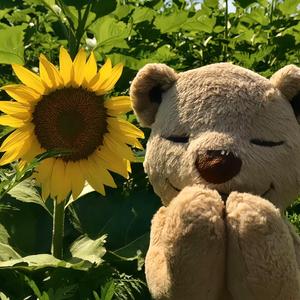 流不完的泪 (Remix)