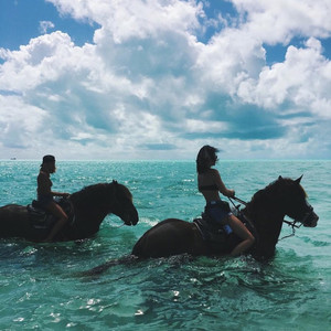 加大力度（Re-Durm）