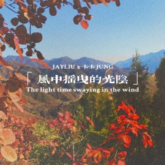 风中摇曳的光阴