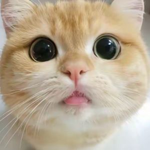 《便利店银河》