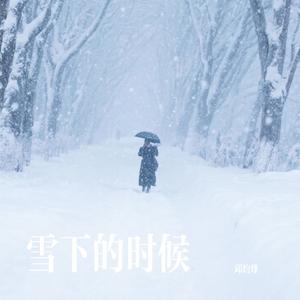 雪下的时候