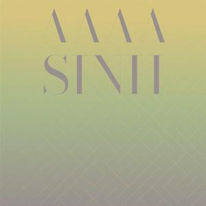 Cpu Siderostat
