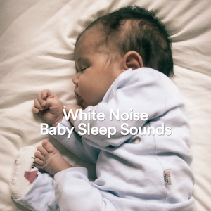 Rain & Thunder Sleep Sounds (Loopable)
