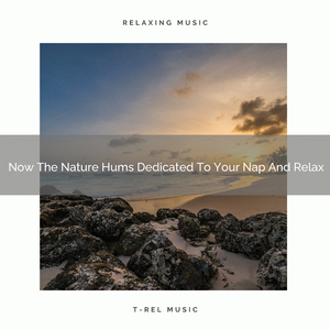 Fan For Recharge, Feel Better, And Much More