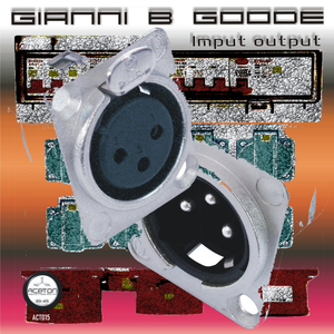 Imput Output (extended)