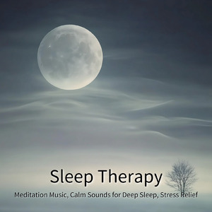 ヒーリング-心落ち着く夜の音-