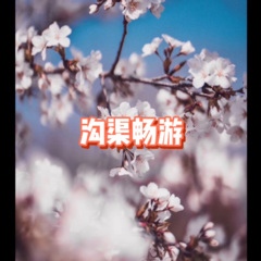 自由飞翔 (极速飙车版)