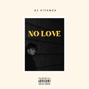 NO LOVE