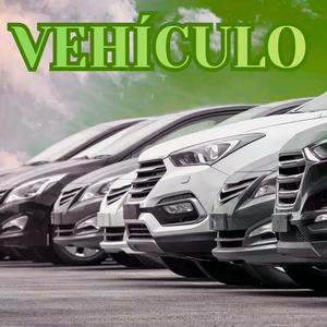 Vehiculo
