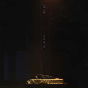 불면(sleeplessness)
