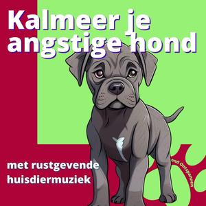 Therapie voor hond