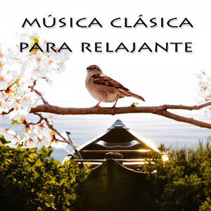 6 Épigraphes antiques, L 131: IV. Pour la danseuse aux crotales