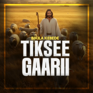 Tiksee Gaarii