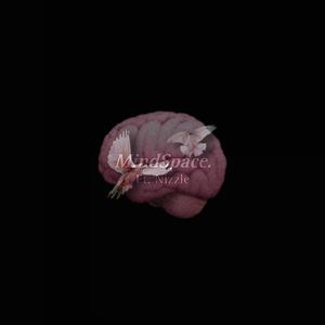 MindSpace (feat. Nizzle)