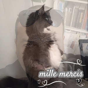 mille mercis