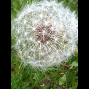 I Wish That You Never Had Gone