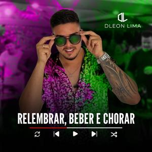 Recaidas