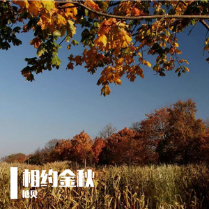 相约金秋 伴奏
