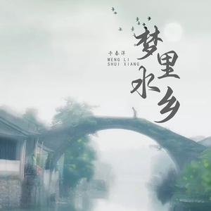 梦里水乡 (DJ彭锐版)