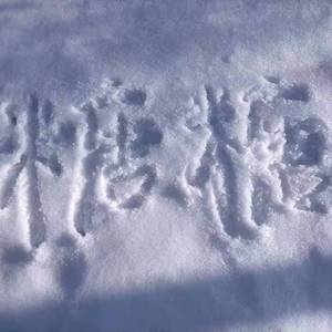 永不失联的爱。