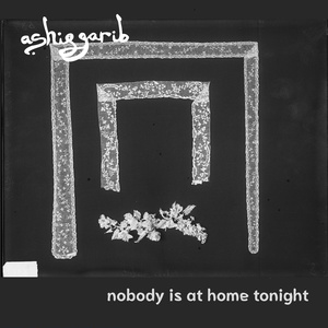 nobody is at home tonight