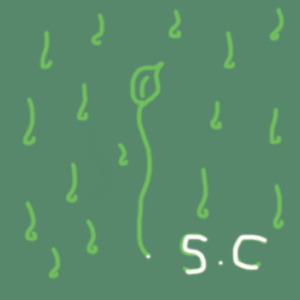 피지 못한 꽃들의 이야기