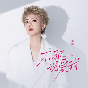 不配说爱我 (没脾气的脆弱DJ版)