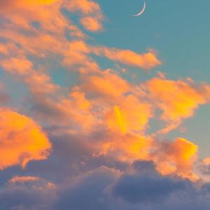 年轮(翻弹自：不是花火呀)(重修版)