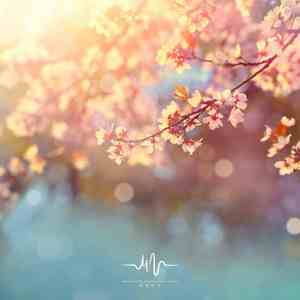 美好心情-钢琴 (助眠曲)