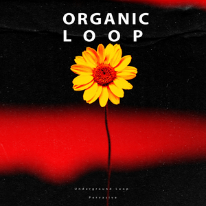 Pervasive (Serg Underground Remix)