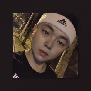 心跳 塑料哥哥wav（翻自 王力宏）