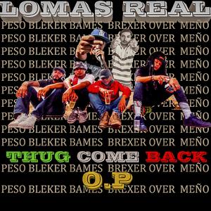 Ilegales (feat. Peso & Brexer)