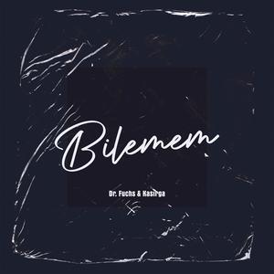 Bilemem (feat. Kasirga) (Remix)