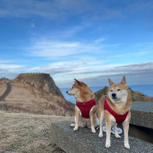 うののん ビート！ (special ver.)