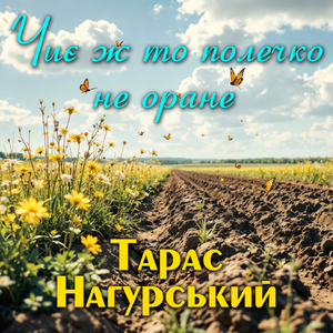 Чиє ж то полечко не оране