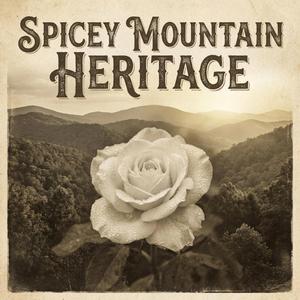 Sombody's Gonna Love You