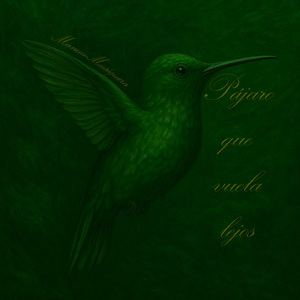 Pájaro Que Vuela Lejos