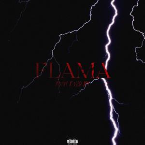 FLAMA (feat. VAD XM)