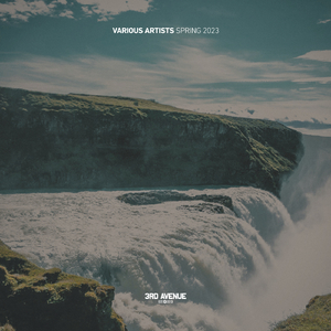 Male (SALAZAR Remix)