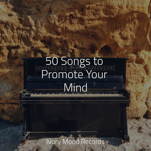 Echoes of the Himalayas