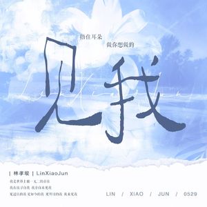 见我 | 林孝埈2026生贺
