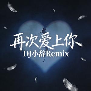 再次爱上你（DJ小辞Remix）