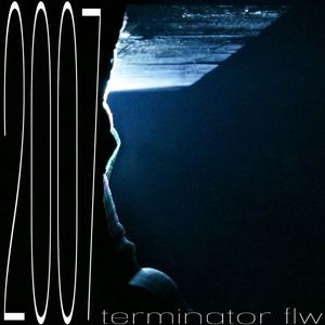 terminator flw