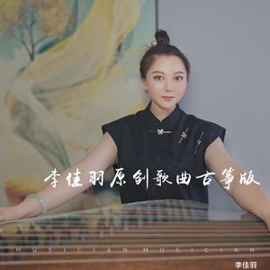 这样的夜想起远方的他 (古筝版)