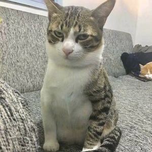 Naughty Boy - La La La（AlvinChow DJ TING remix）